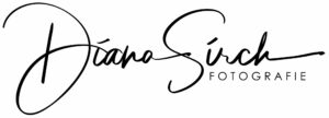 Logo Diana Sirch Fotografie