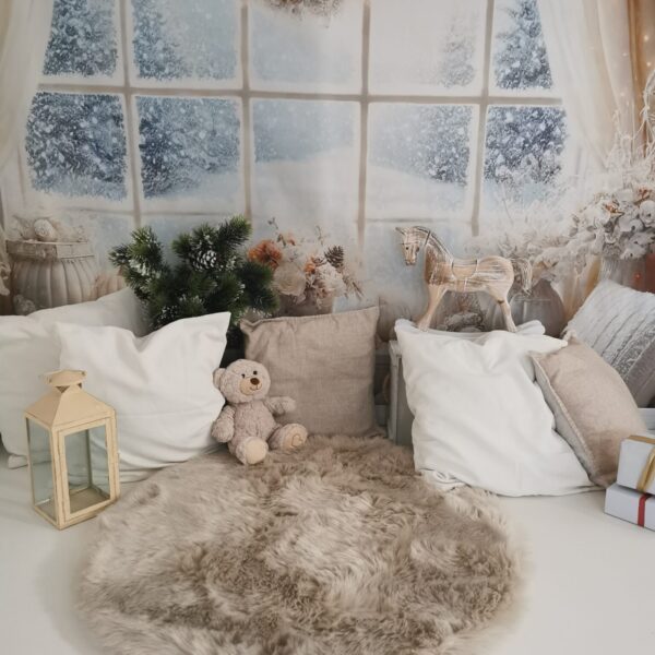 Weihnachts-Mini-Shooting 2026