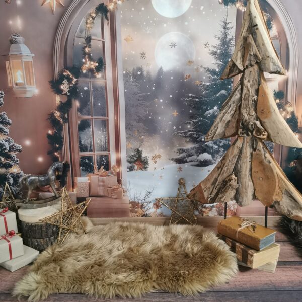 Weihnachts-Mini-Shooting 2026