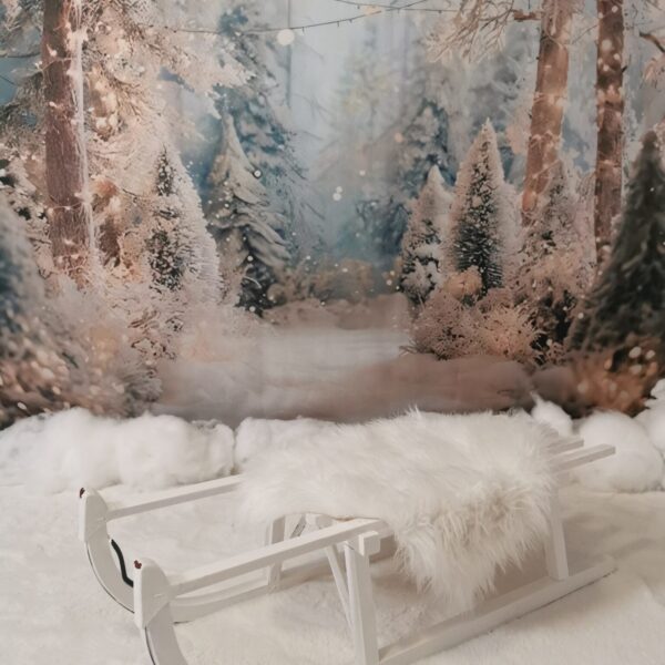 Weihnachts-Mini-Shooting 2026