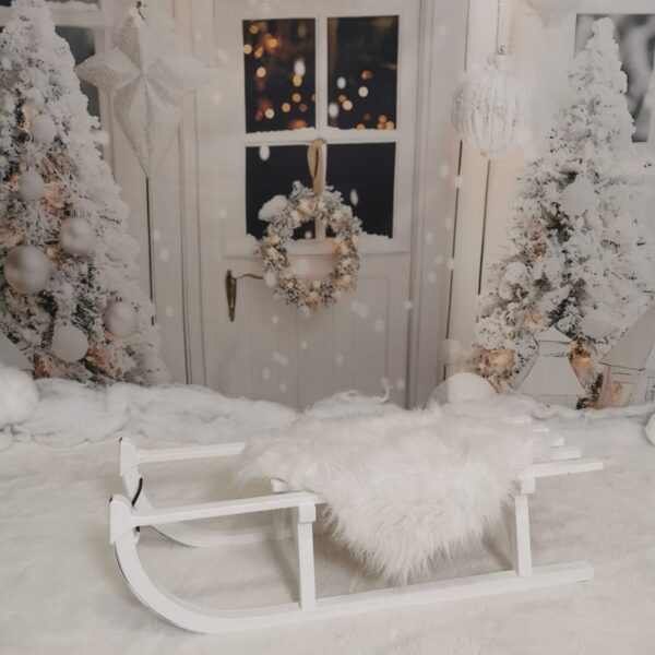 Weihnachts-Mini-Shooting 2026